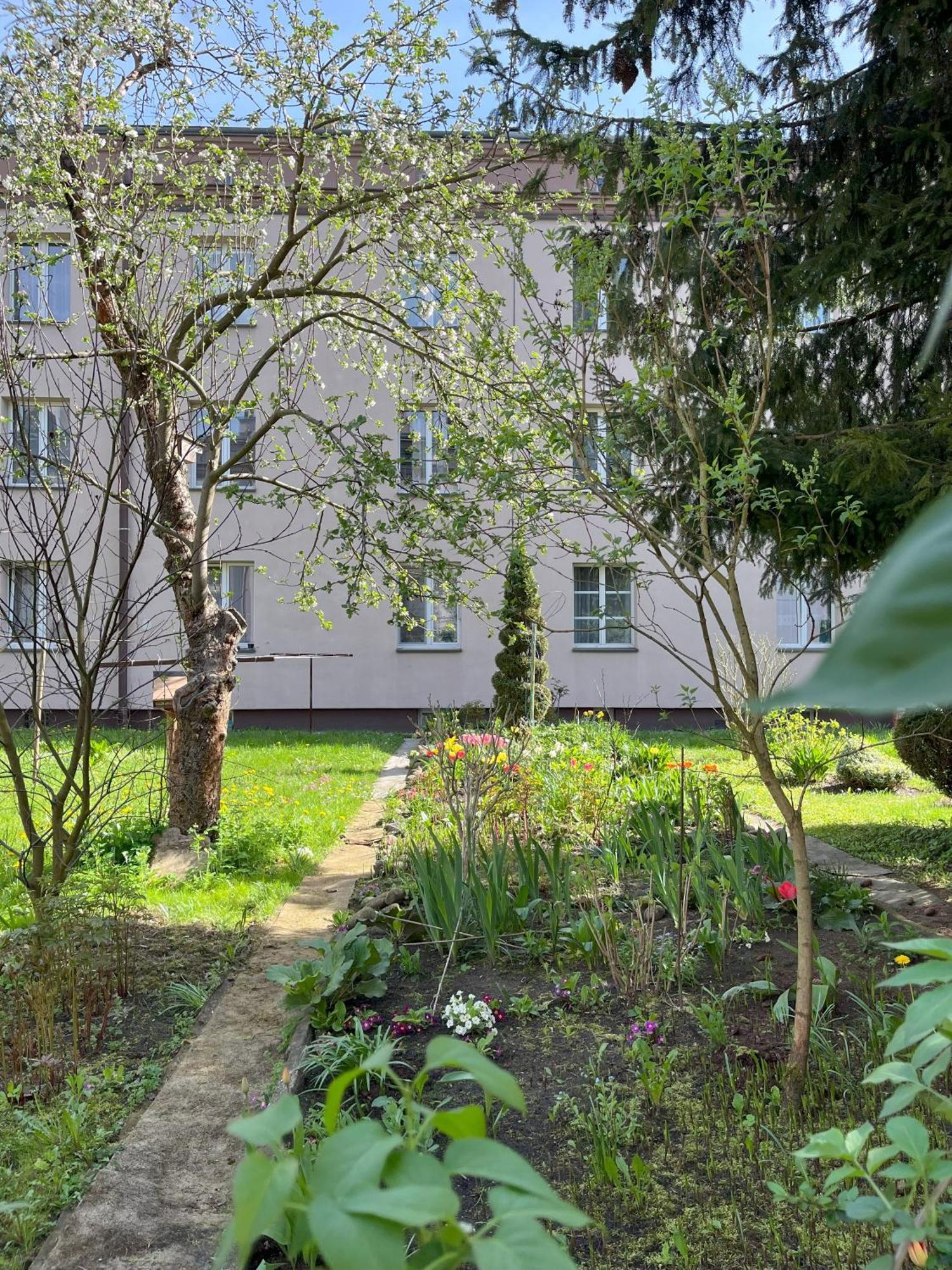 Greenthumb Praska Краков Экстерьер фото
