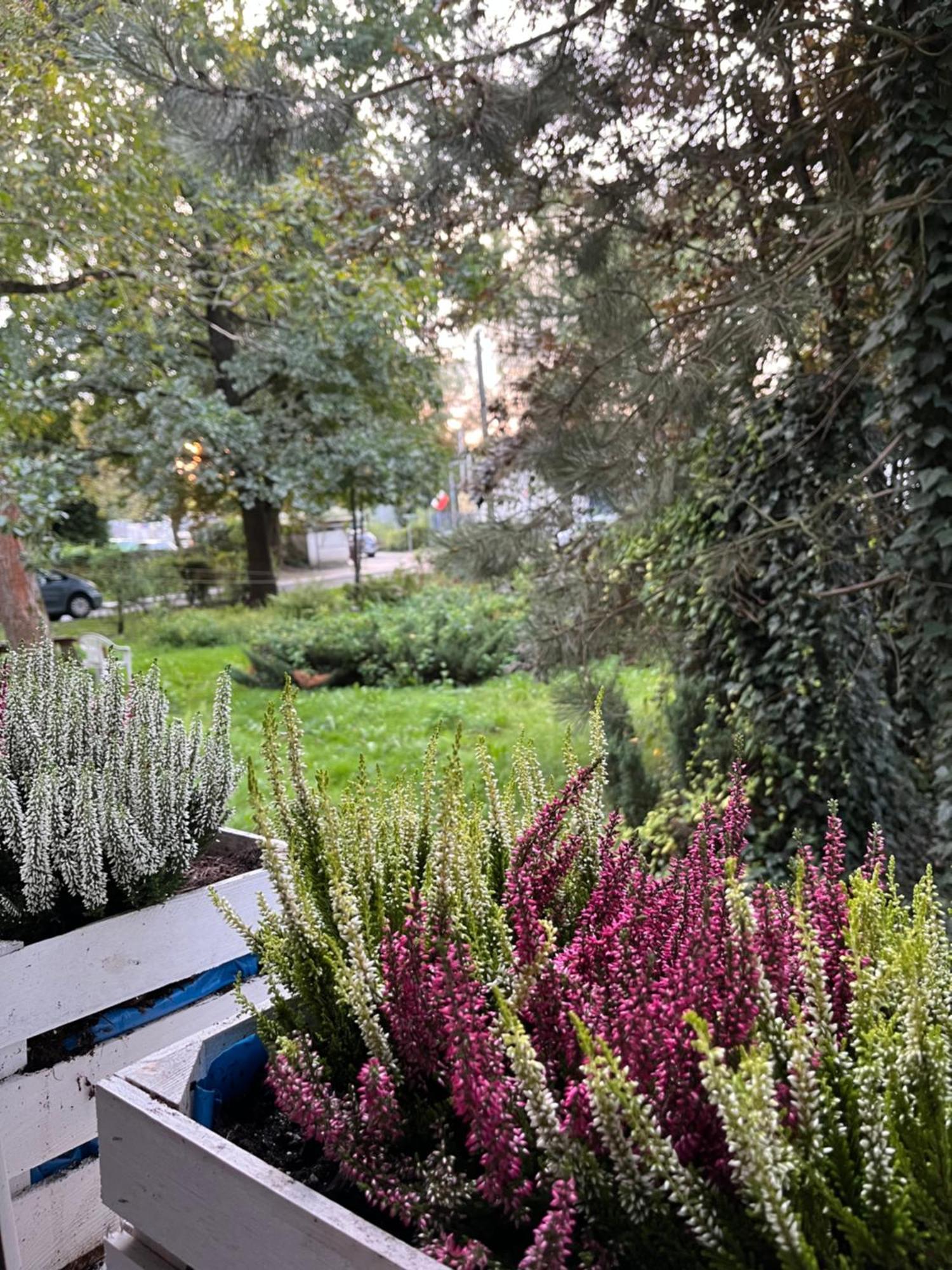 Greenthumb Praska Краков Экстерьер фото